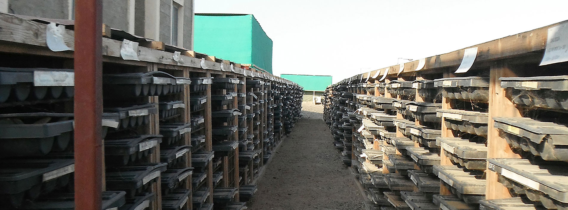 DEVELOPING A WORLD-CLASS POTASH MINE